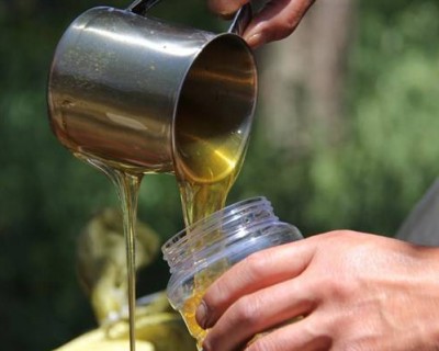 喝蜂蜜水会胖吗（喝蜂蜜水容易胖吗？）
